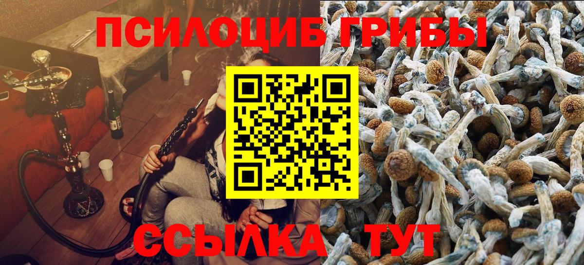 Псилоцибиновые грибы ЛСД  Вход с VPN  Псилоцибиновые грибы MAGIC MUSHROOMS  Азнакаево 